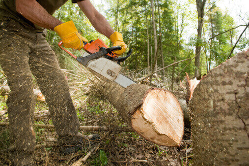 Second Author